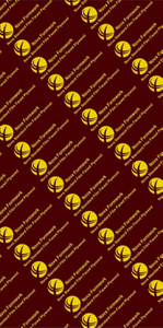 Nova Standard Film Faced Plywood